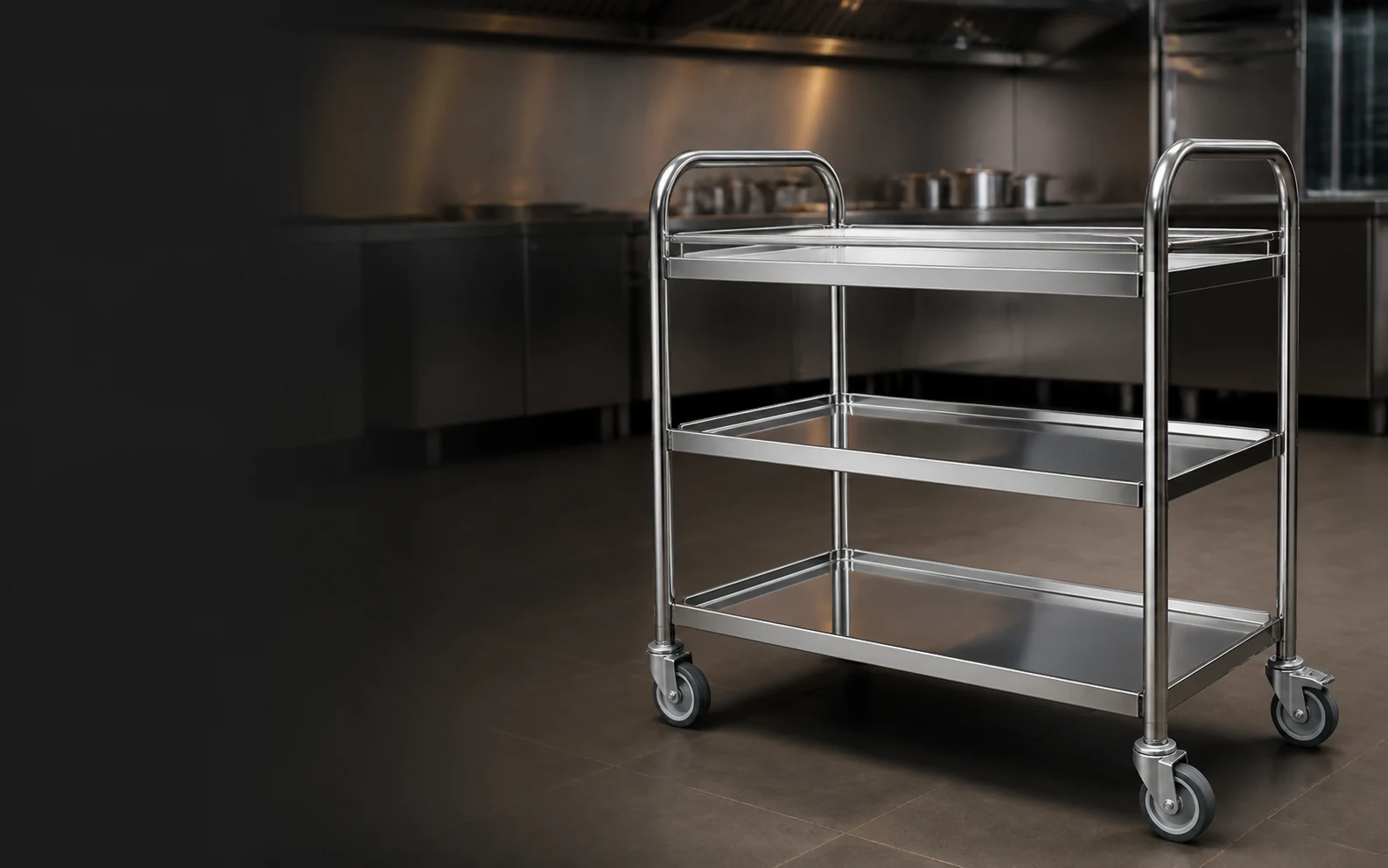 Existing SS Kitchen Trolleys